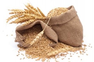 Wheat 1